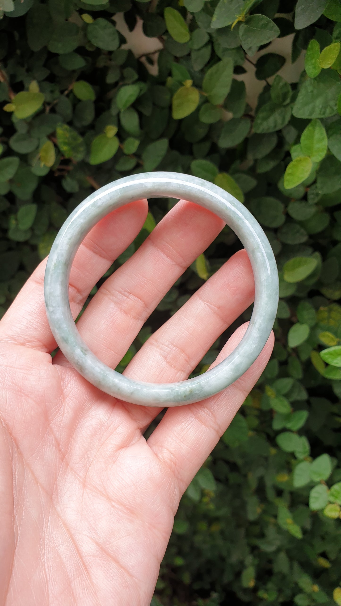 Jade Bangle S59.3 Fei Cui Burma Jadeite Type A Natural Ash Green