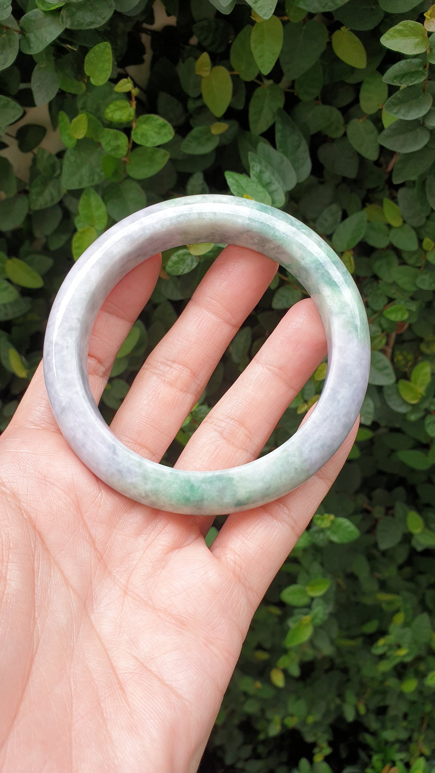 Plus Size Lavender Green Jade Bangle S66.5 Type A Natural Jadeite Fei Cui