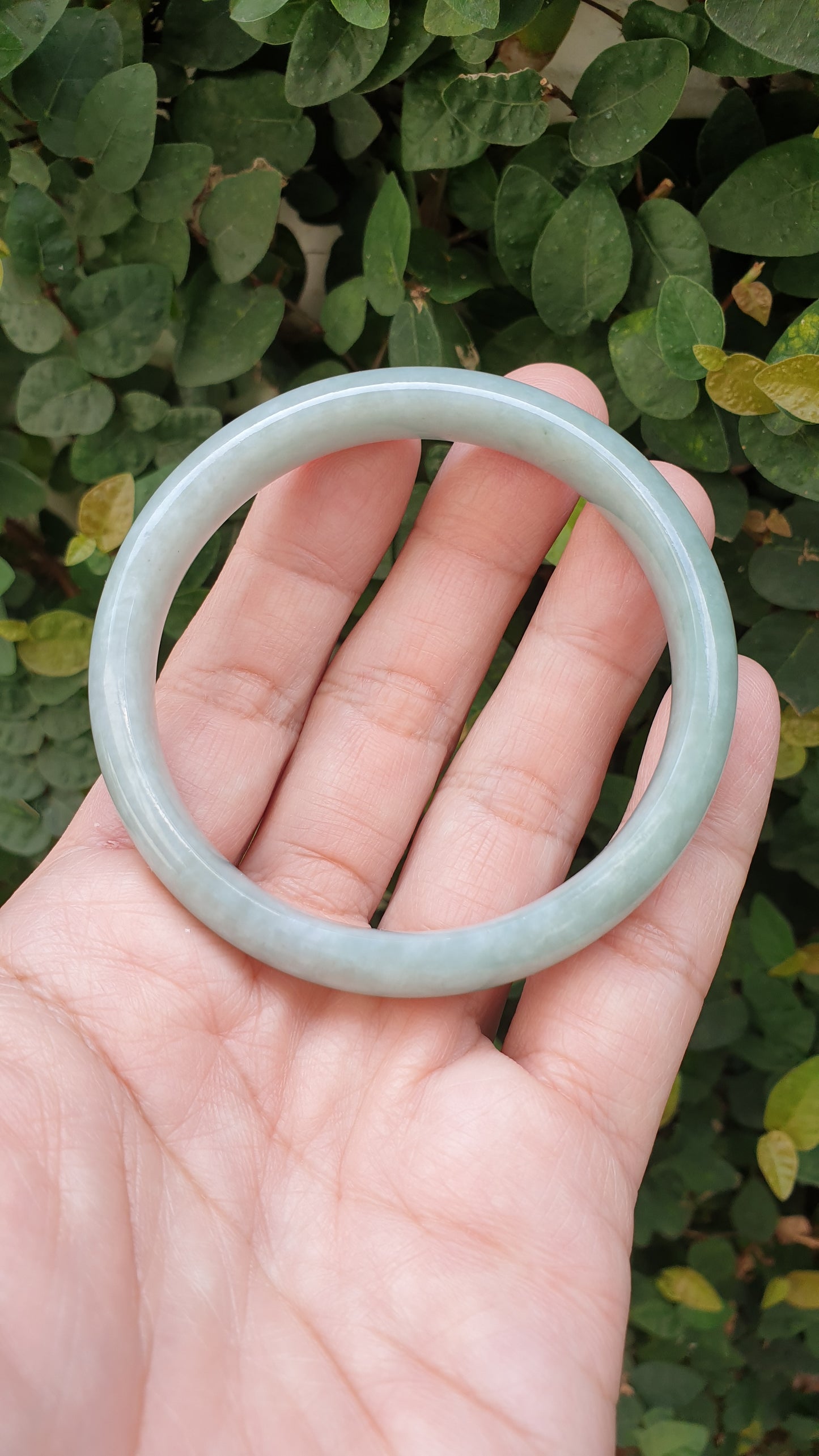 Light Green Jade Bangle S59 Type A Natural Myanmar Jadeite