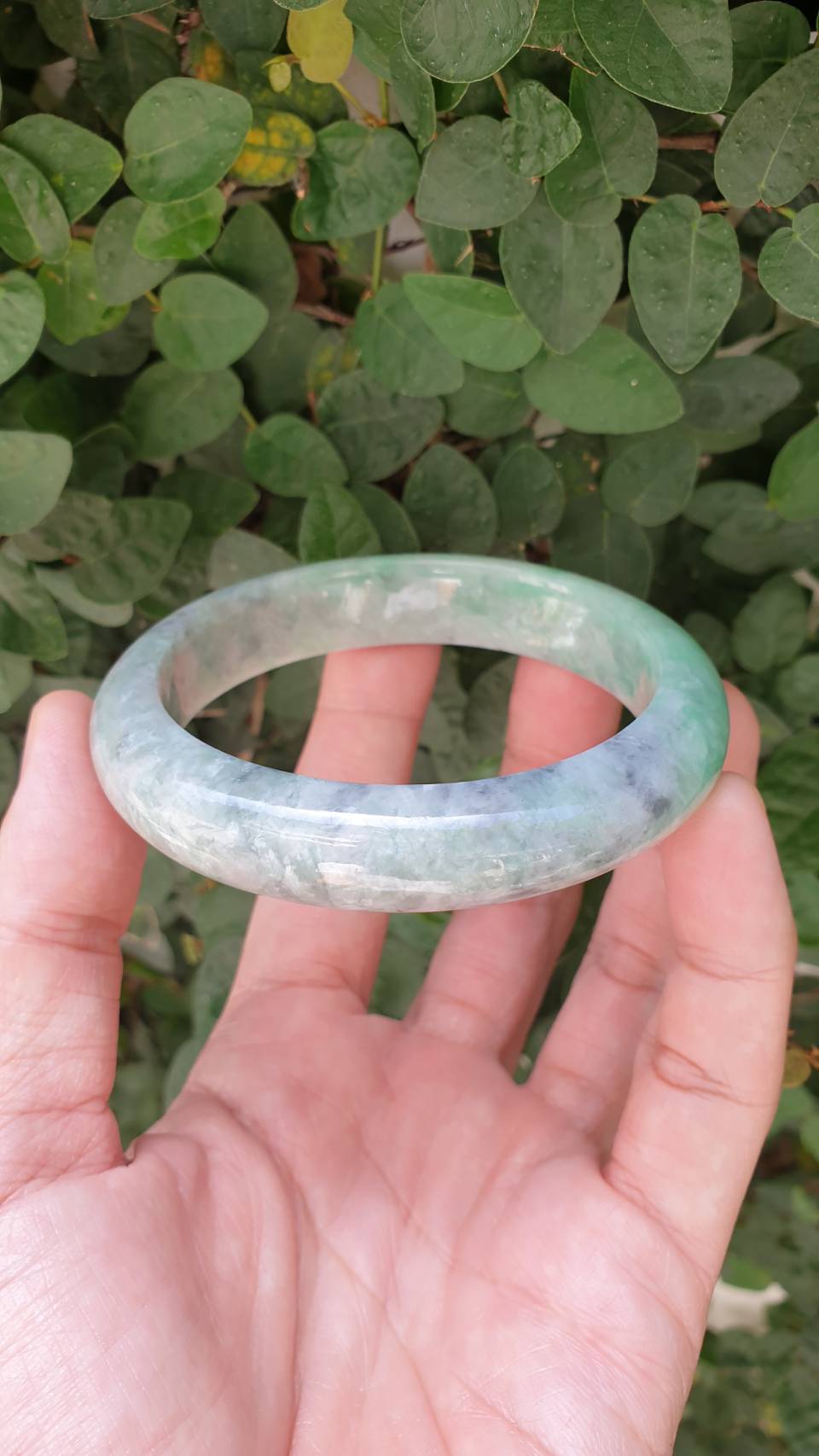 Ash Green Jade Bangle S61 Fei Cui Type A Myanmar Jadeite