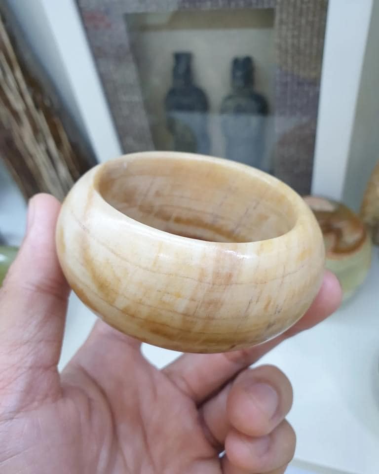 Petrified Wood Tortoise Bangle (Size 55.5) | Natural Stone Vintage Bracelet