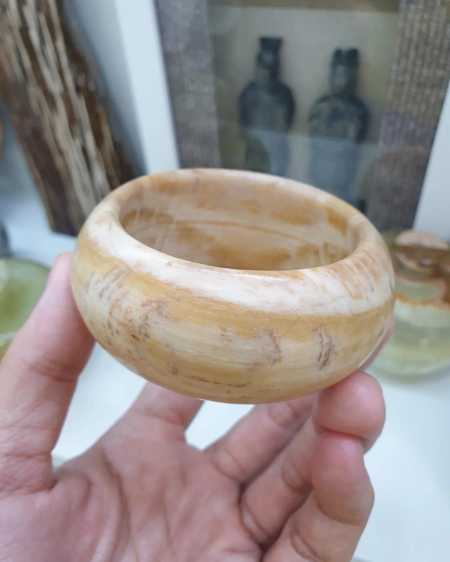 Petrified Wood Tortoise Bangle (Size 55.5) | Natural Stone Vintage Bracelet