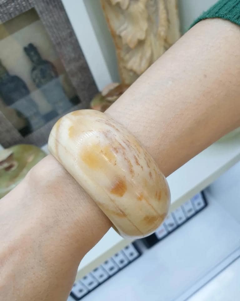 Petrified Wood Tortoise Bangle (Size 55.5) | Natural Stone Vintage Bracelet
