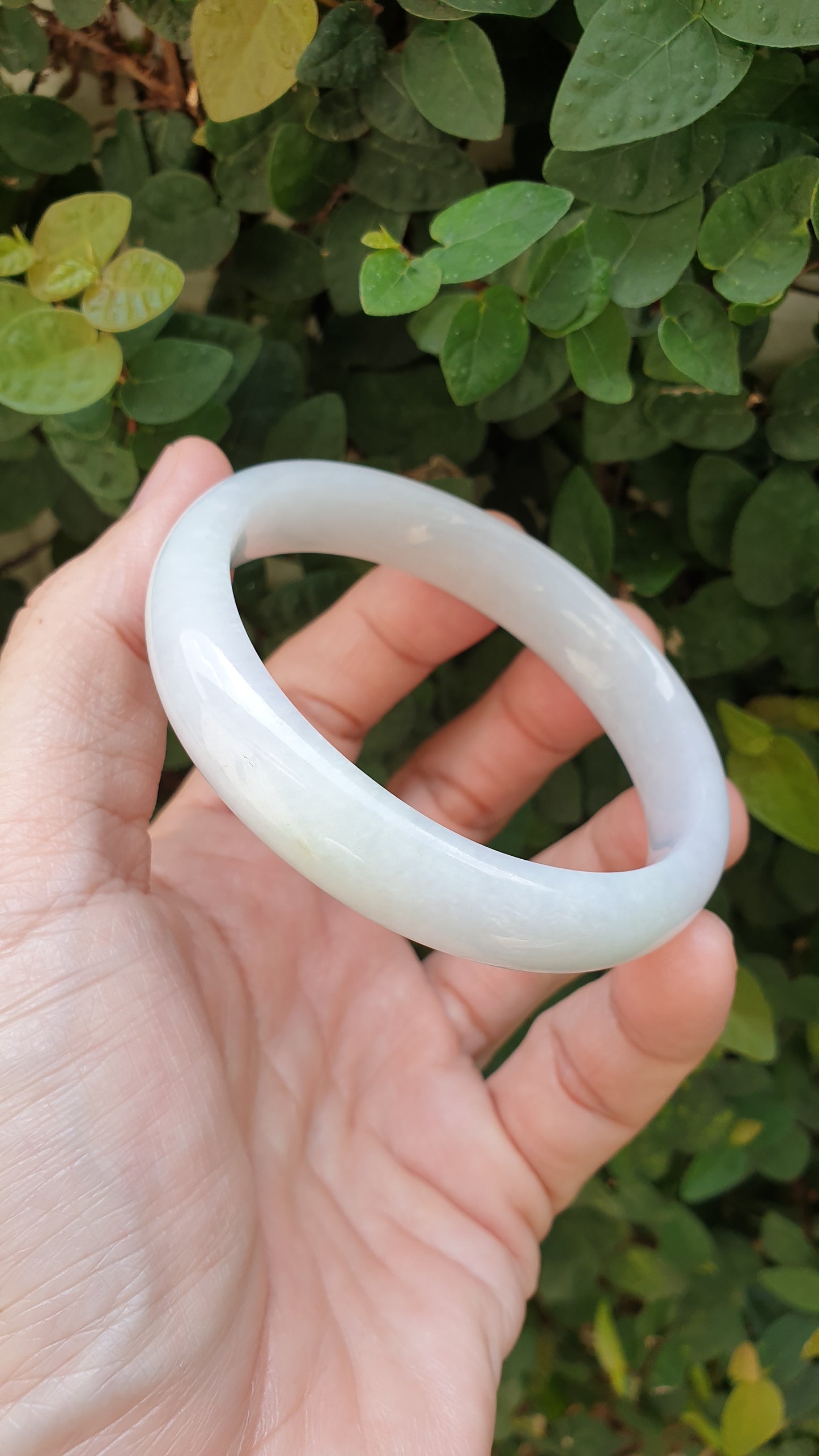 White Jade Vintage Bangles S60 Type A Natural Myanmar Jadeite