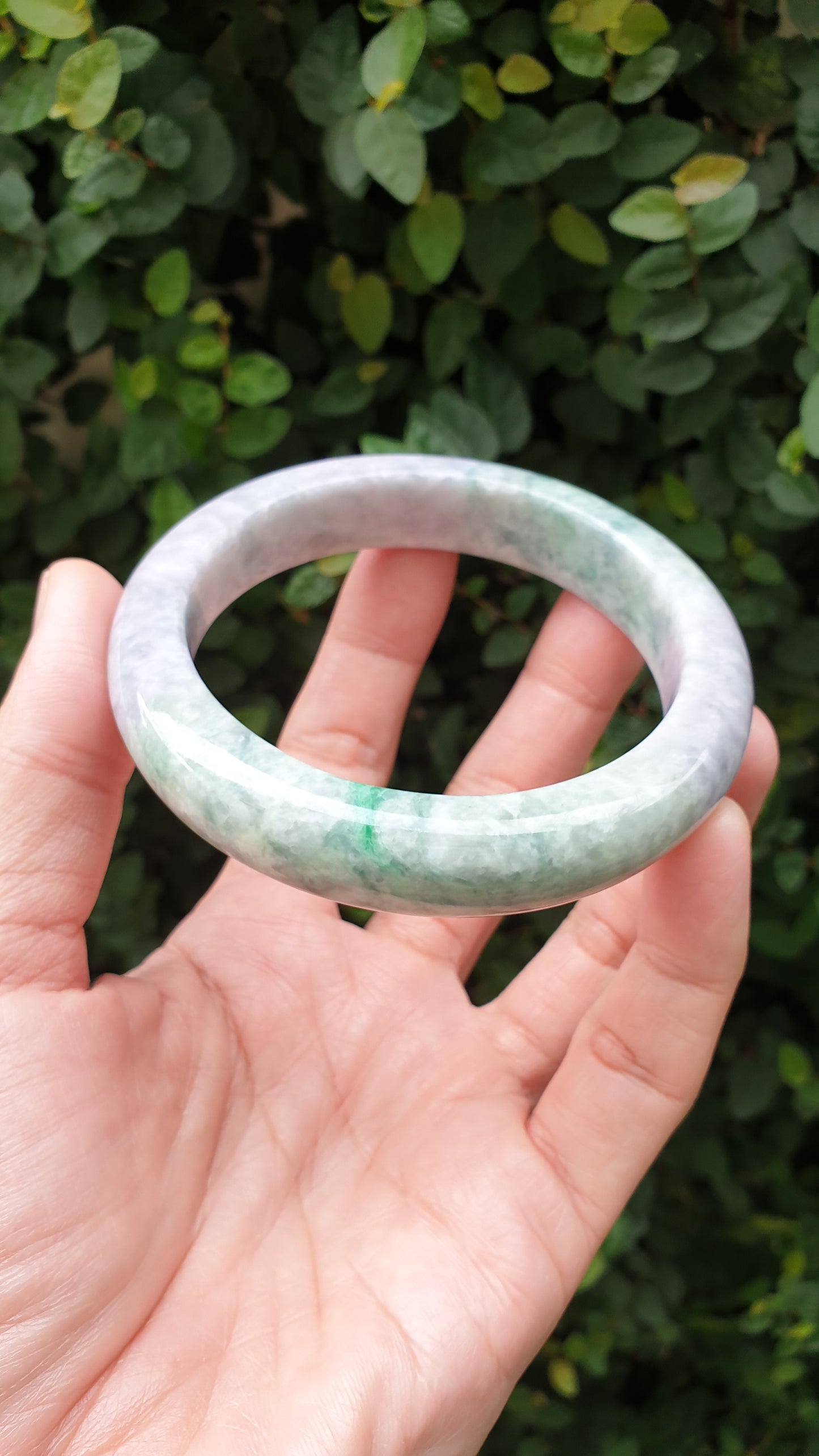 Plus Size Lavender Green Jade Bangle S66.5 Type A Natural Jadeite Fei Cui