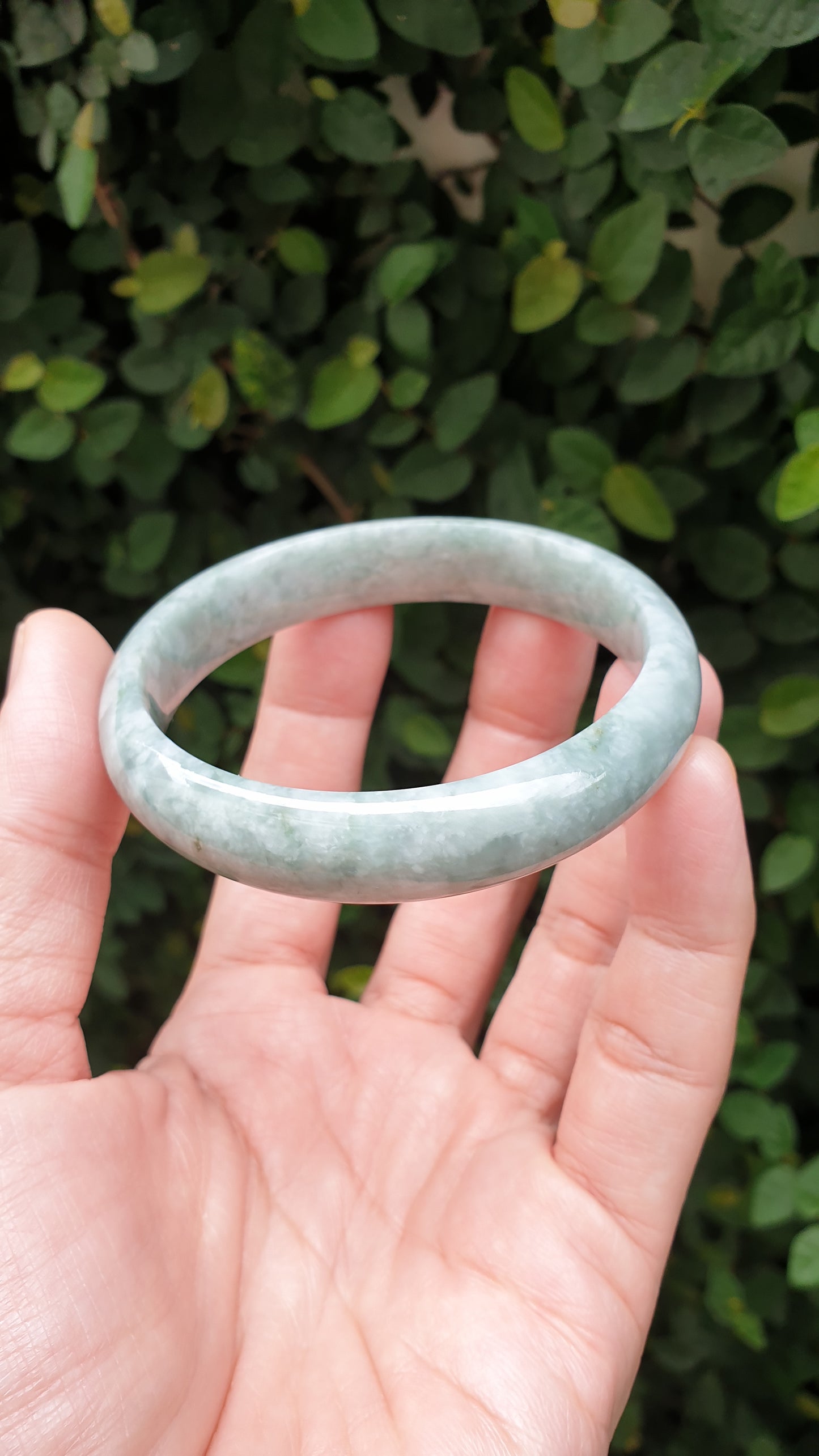 Jade Bangle S59.3 Fei Cui Burma Jadeite Type A Natural Ash Green