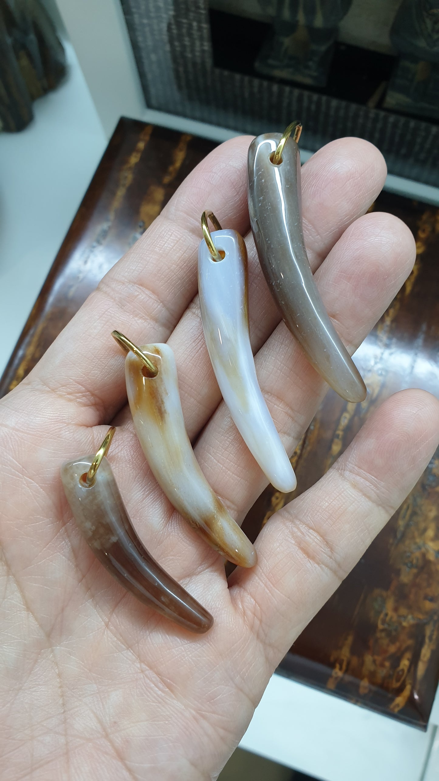 Fossilized Wood Fang Pendant (Selection) | Natural Gemstone & Sterling Silver | His or Hers Statement Jewelry