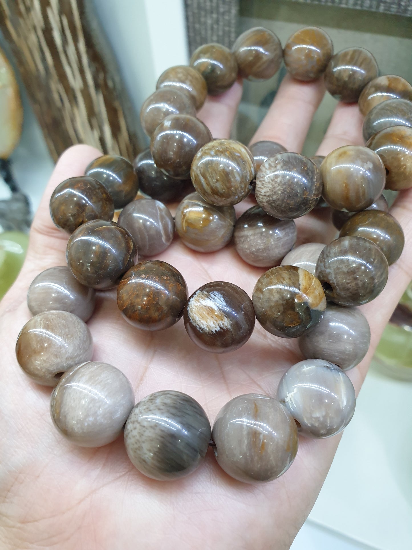 Petrified Wood Bracelets 17cm  Natural Stone Beads 16mm-18mm