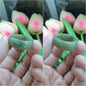 Jade Domed Rings, Selections (13 US) | Authentic - Type A Jadeite