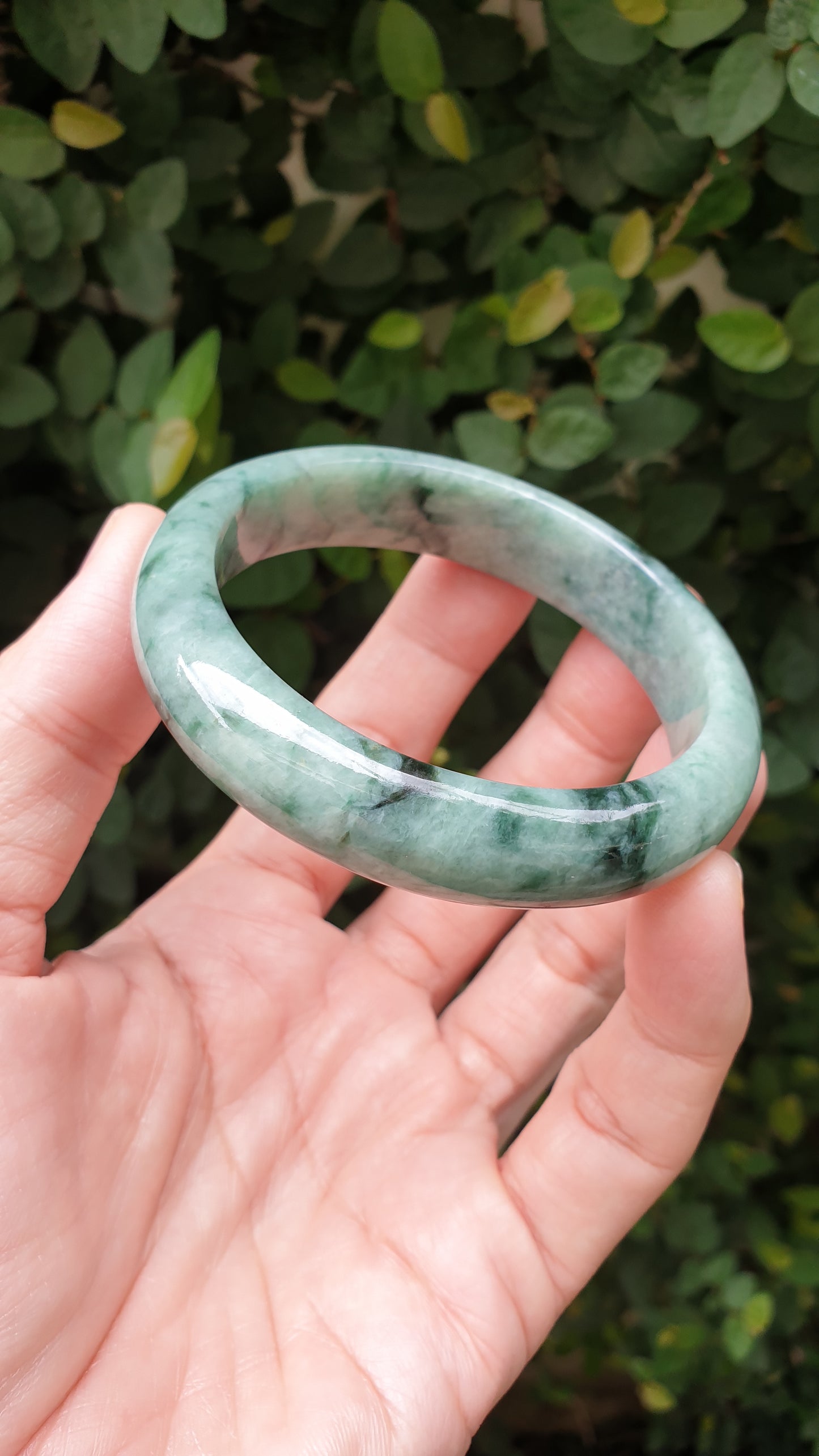 Jade Bangle S58.5 Type A Myanmar Jadeite Speckled Natural Moss Green