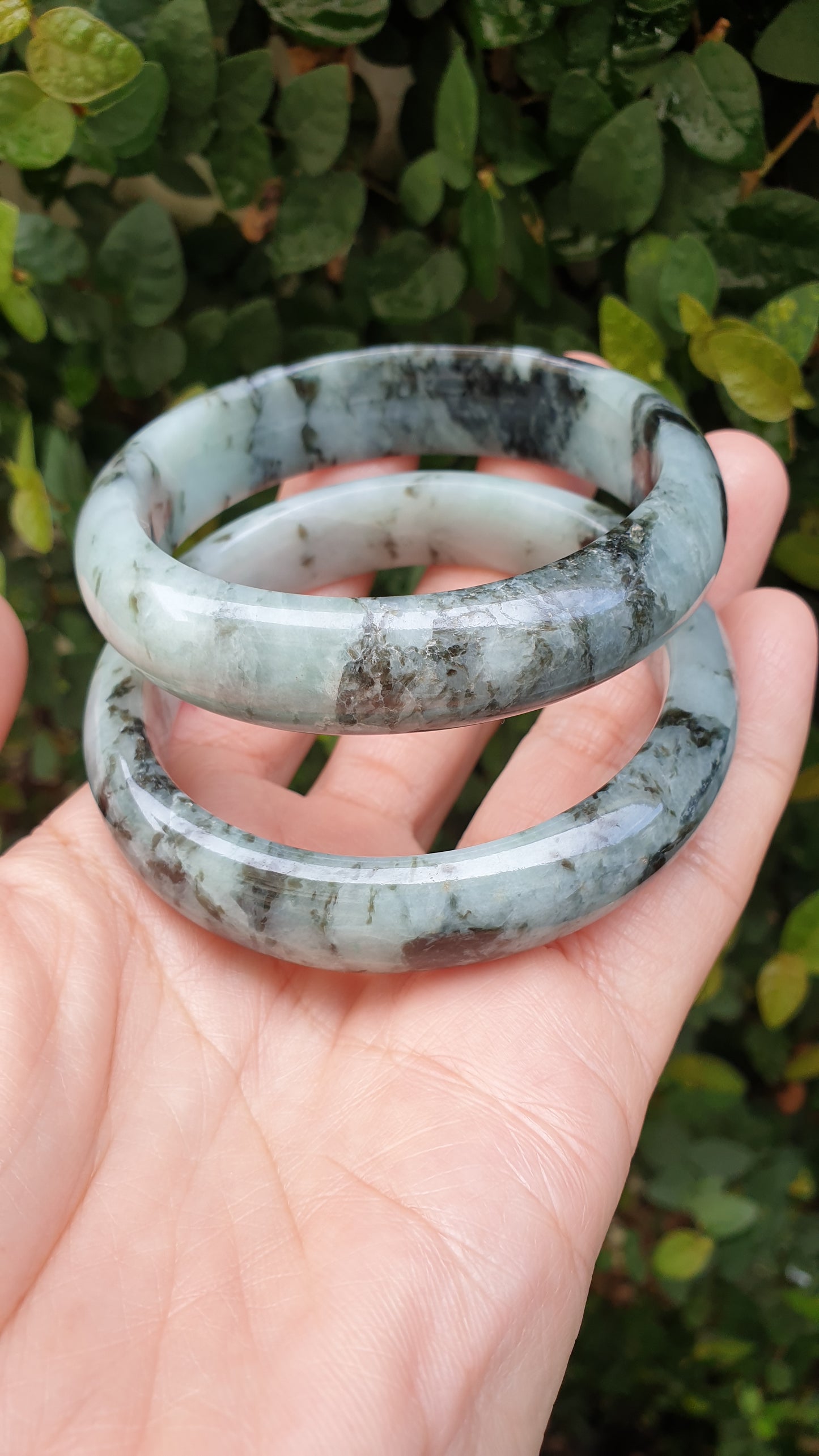 Natural Jade Bangles S59 Black Moss Blue Type A Jadeite
