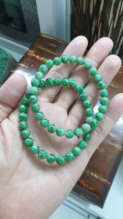 Type A Myanmar Two Tone Green Jadeite 17cm Bracelet with 7.5mm Beads