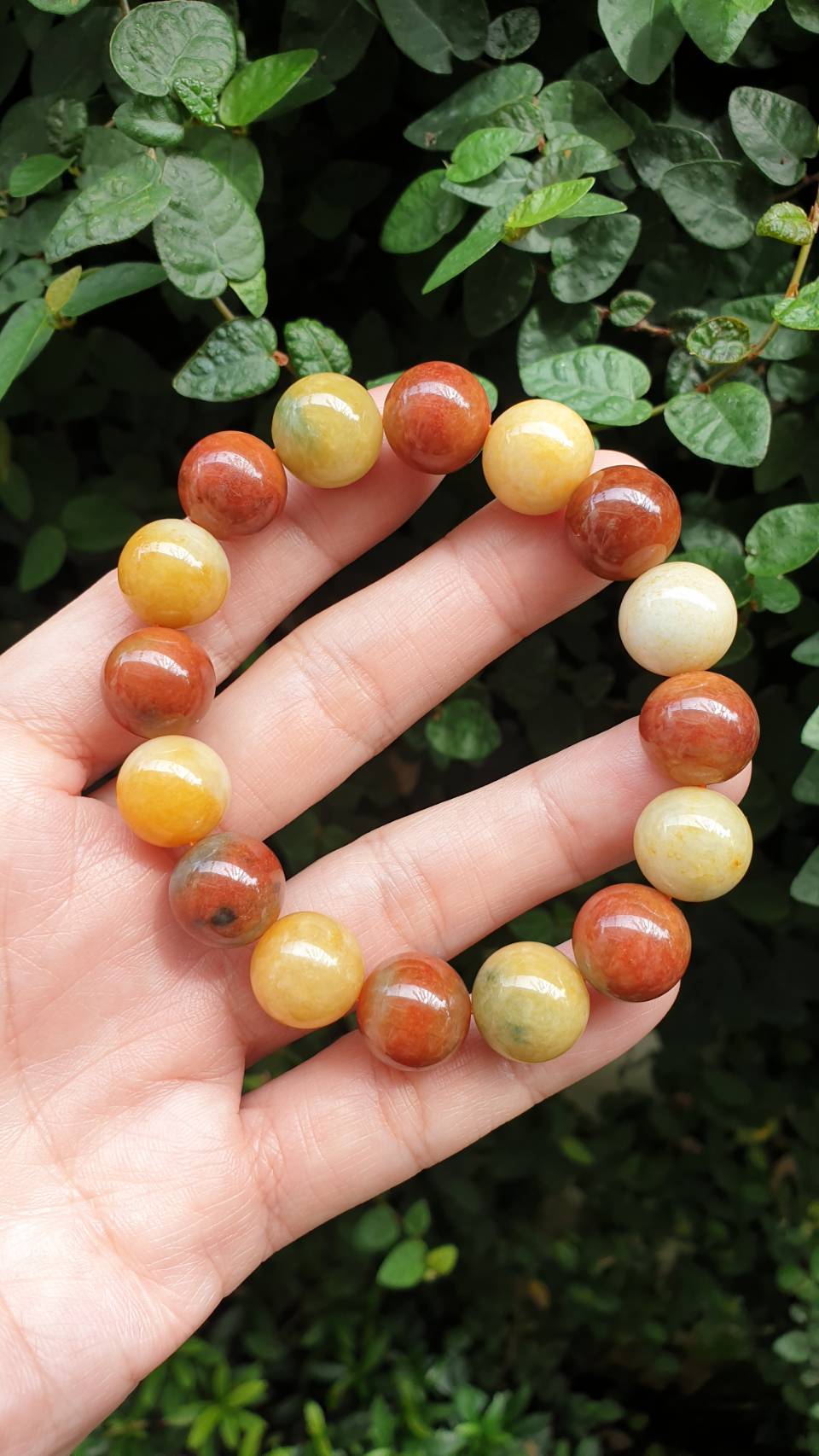 Honey and Red Jade Handmade Beads Bracelet 17cm Type A Natural Myanmar Jadeite
