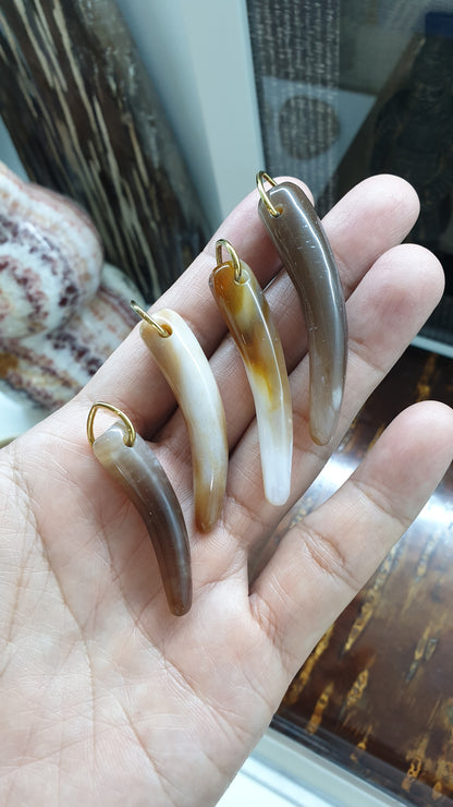 Fossilized Wood Fang Pendant (Selection) | Natural Gemstone & Sterling Silver | His or Hers Statement Jewelry