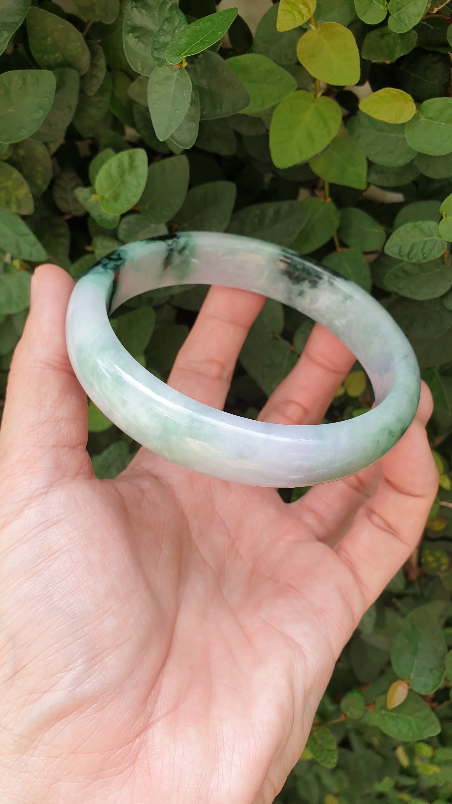Plus Size Jade Bangle S76.5 Lavender Green Fei Cui Type A Myanmar Jadeite