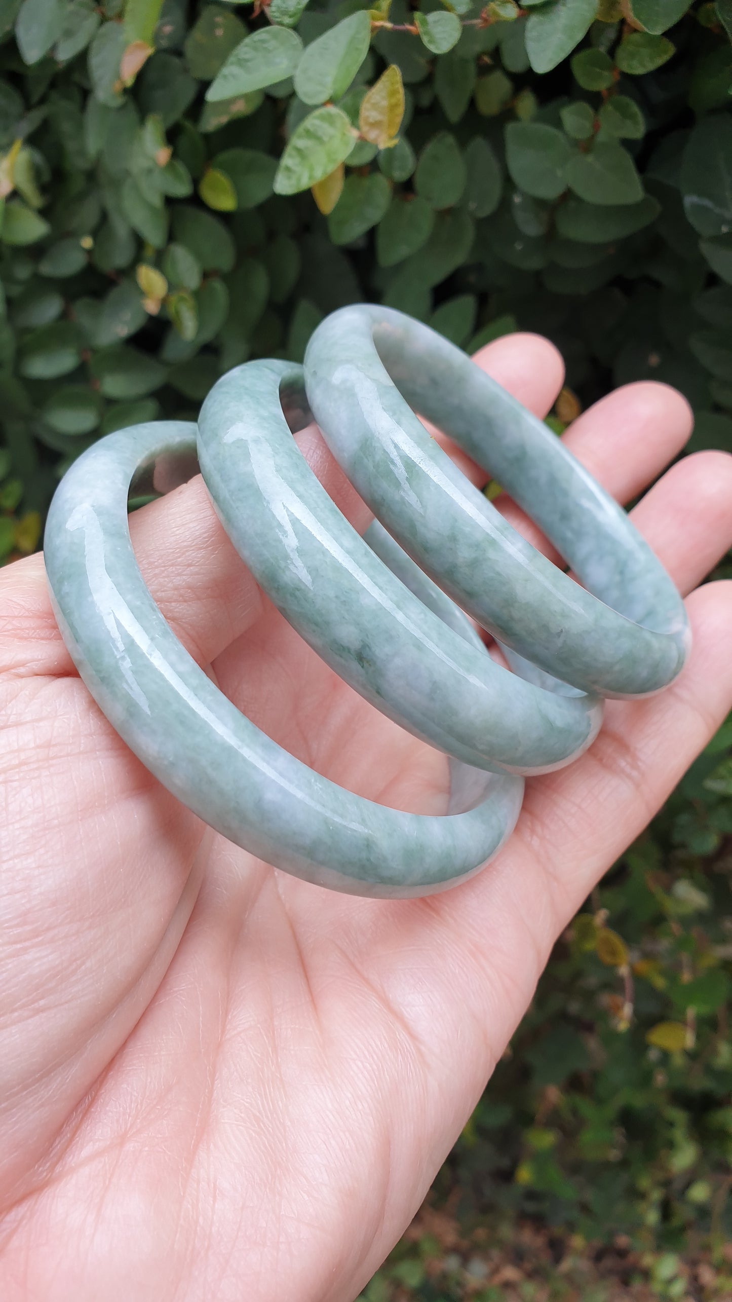 Natural Jadeite Bangles S55.5 - 58.5 Mottled Green Type A Natural Burma Jade