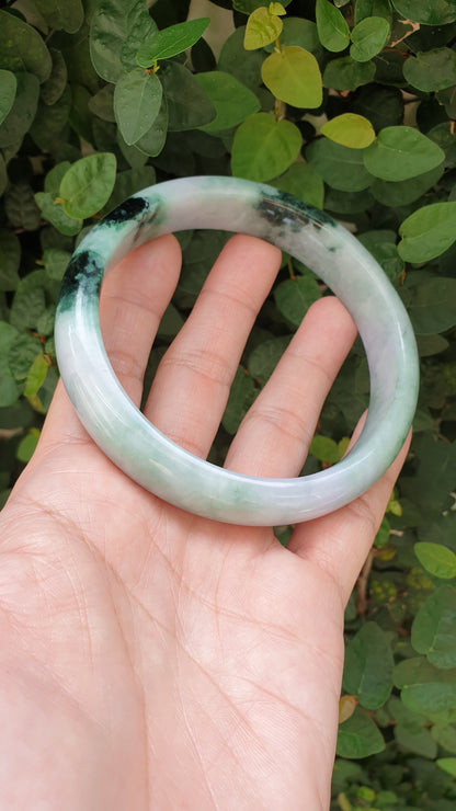 Plus Size Jade Bangle S76.5 Lavender Green Fei Cui Type A Myanmar Jadeite