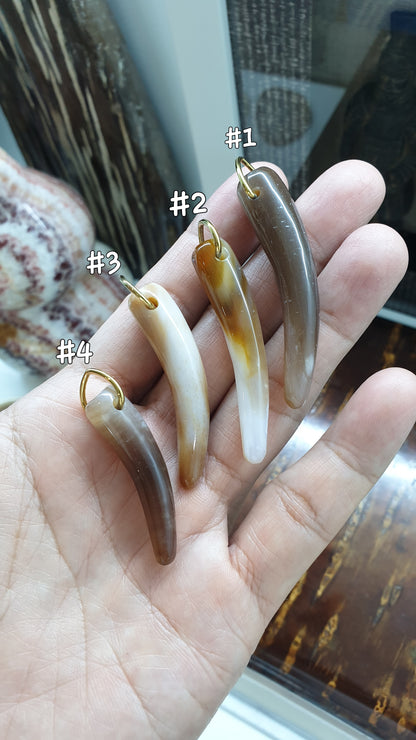 Fossilized Wood Fang Pendant (Selection) | Natural Gemstone & Sterling Silver | His or Hers Statement Jewelry