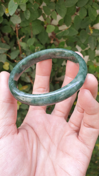 Jade Bangle S58.3 Type A Myanmar Jadeite Natural Forest Green