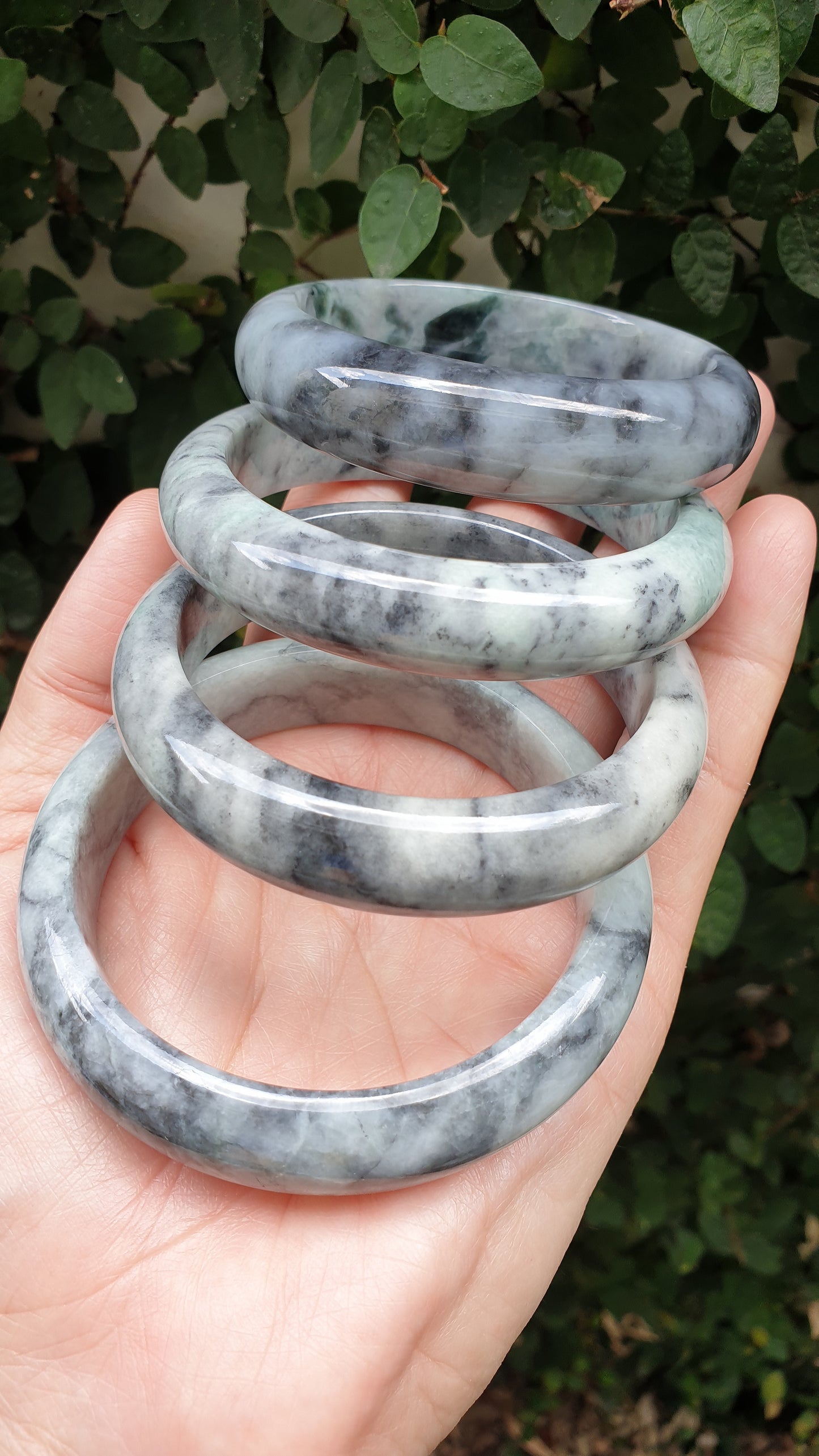 Authentic Jade Bangles Type A Natural Gray Burma Jadeite Sizes
