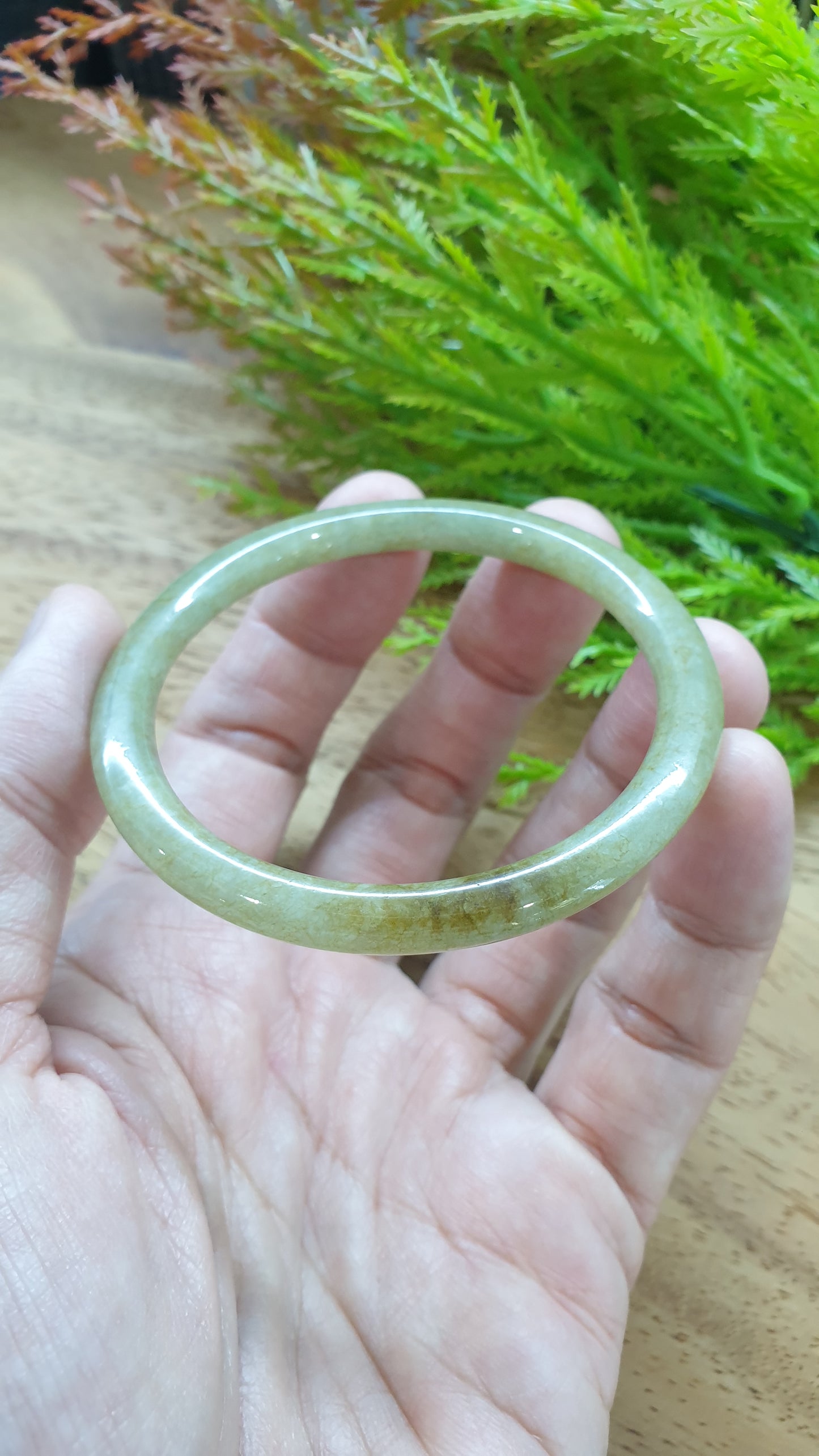 Jade Cylindrical Bangle S55.5 Slim Natural Myanmar Jadeite Type A Honey Green