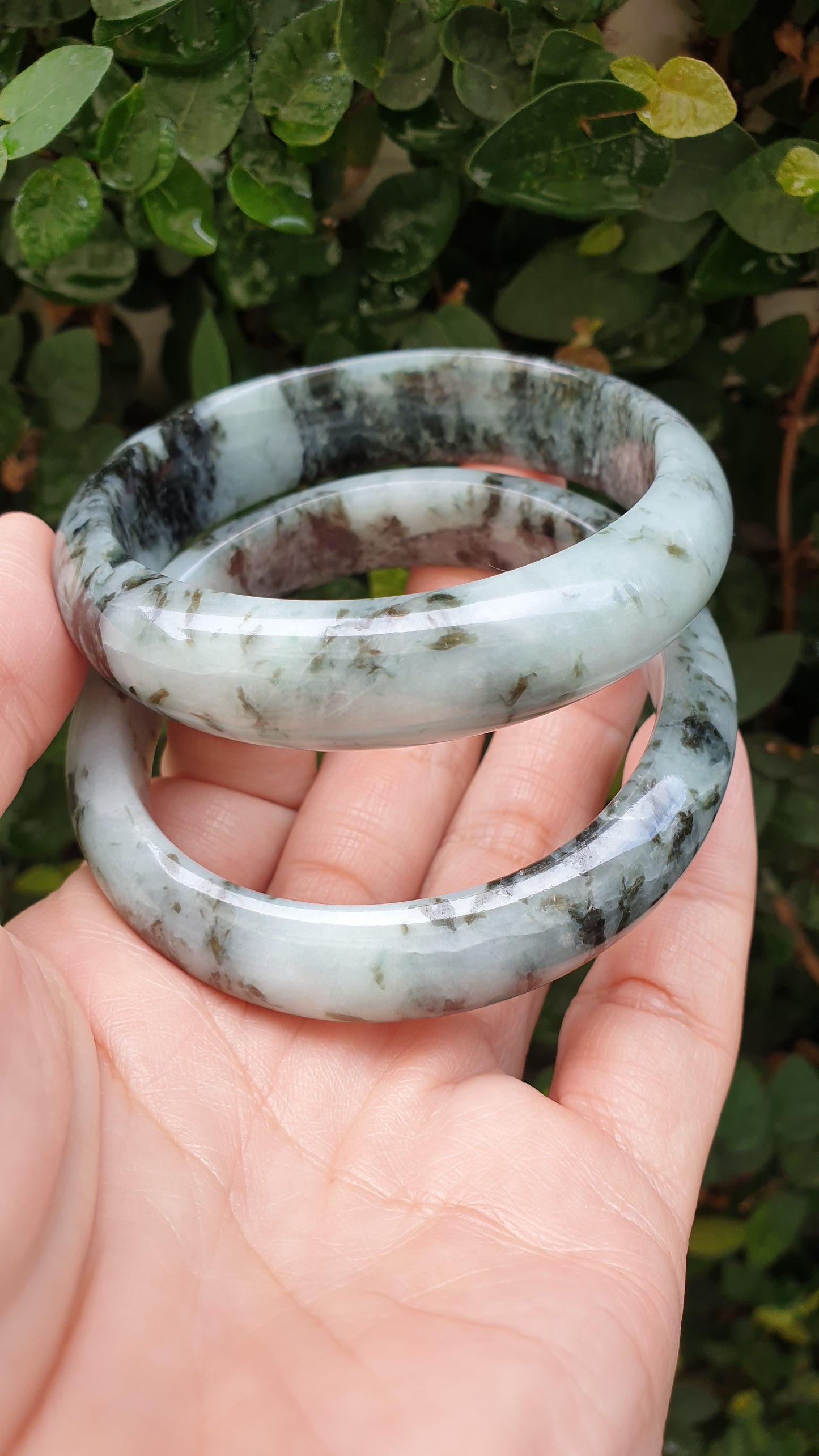 Natural Jade Bangles S59 Black Moss Blue Type A Jadeite