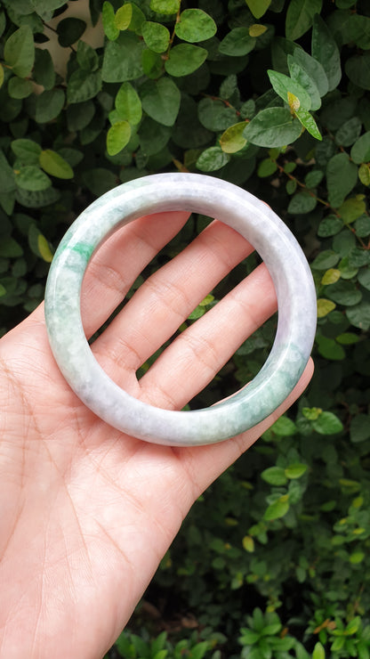 Plus Size Lavender Green Jade Bangle S66.5 Type A Natural Jadeite Fei Cui