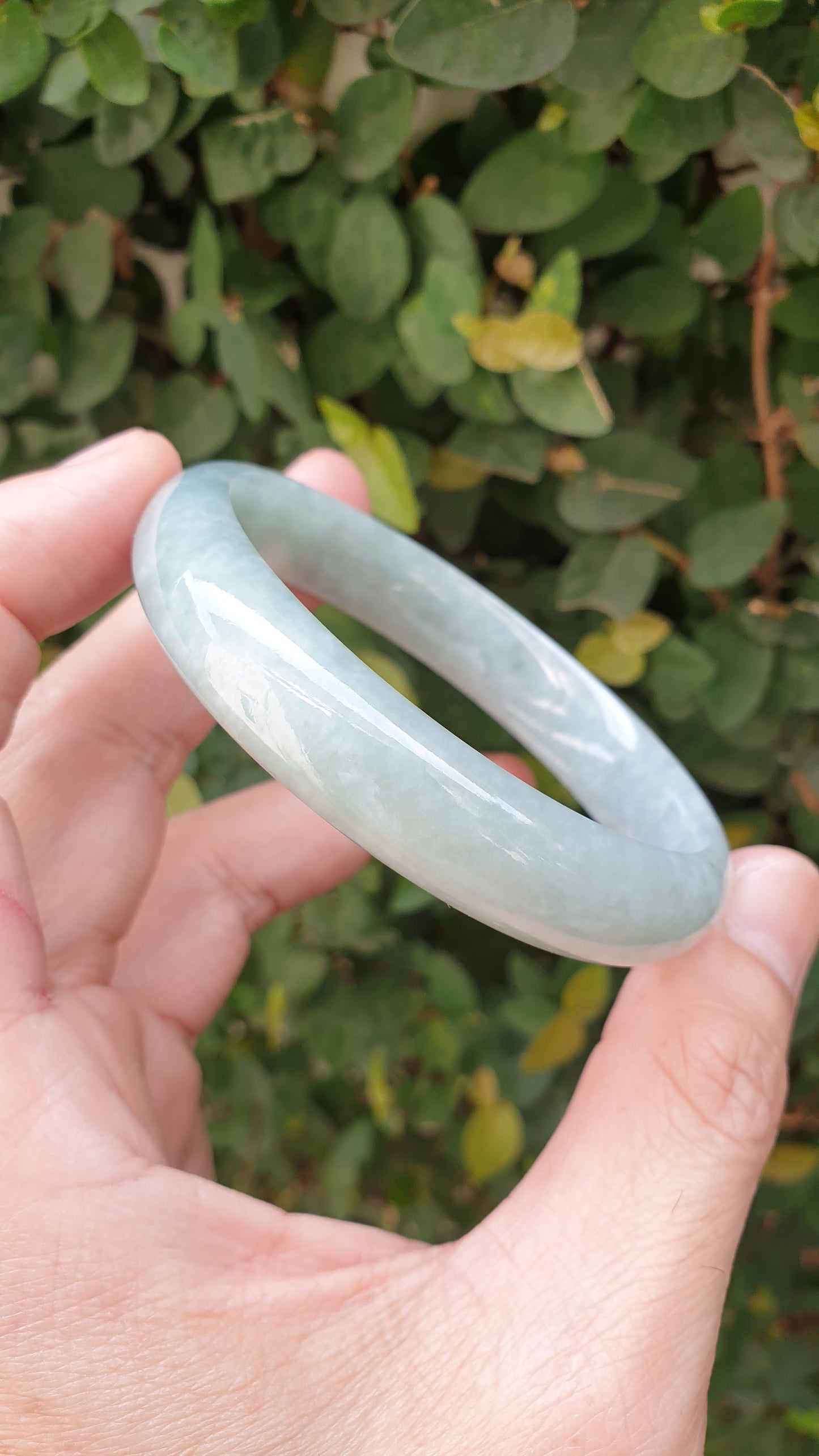 Light Green Jade Bangle S59 Type A Natural Myanmar Jadeite