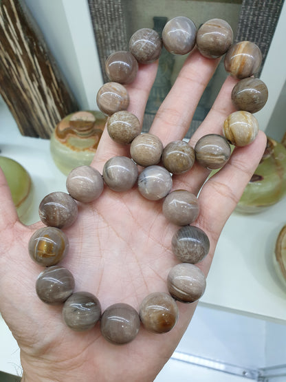 Petrified Wood Bracelets 17cm  Natural Stone Beads 16mm-18mm